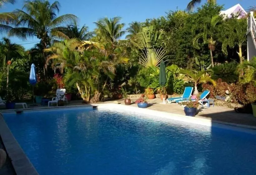 هتل Cap Sud Caraïbes Hôtel