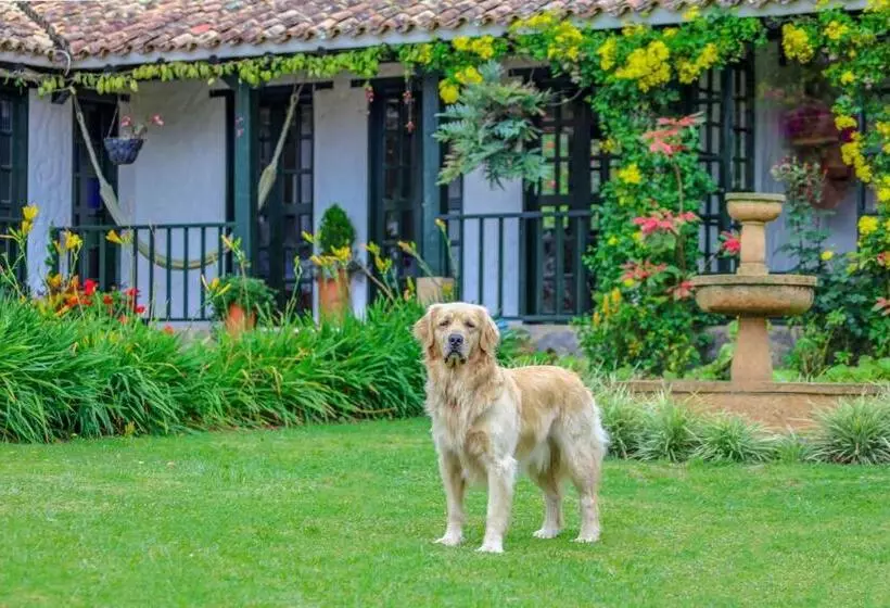 Отель Casa San Nicolas