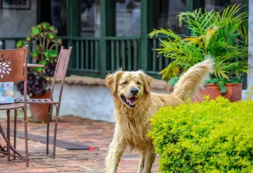 Отель Casa San Nicolas