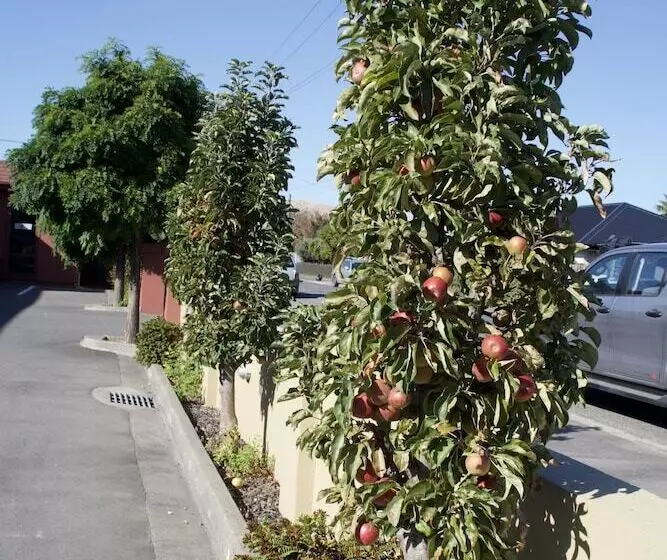 מוטל Blenheim Spa Motor Lodge