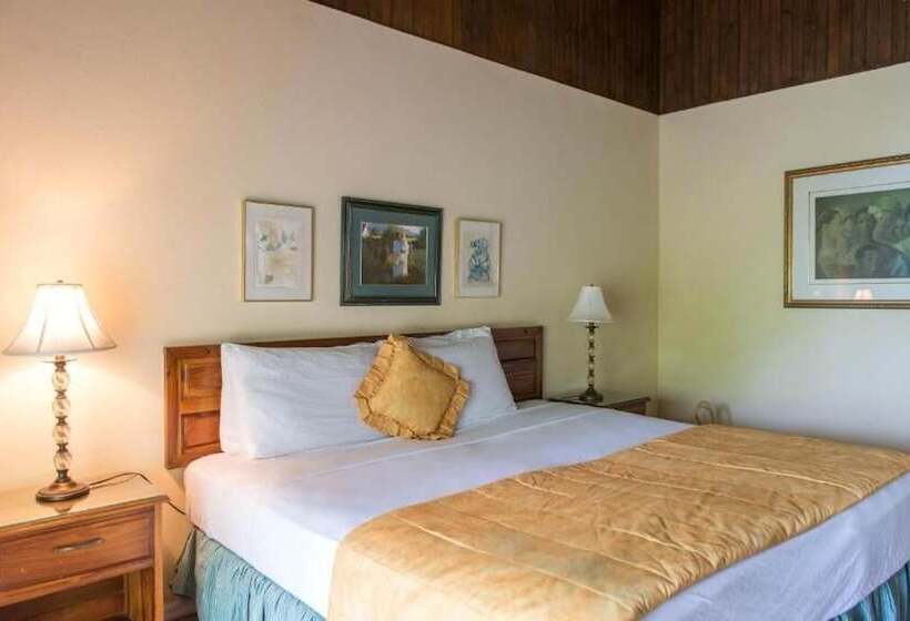 تختخواب و صبحانه Mansfield House