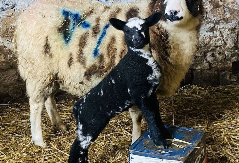 Gratton Grange Farm Holiday Cottage