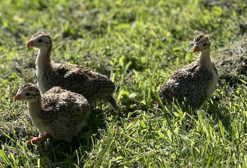 Gratton Grange Farm Holiday Cottage