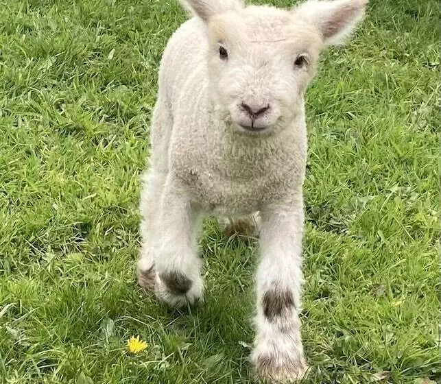 Gratton Grange Farm Holiday Cottage