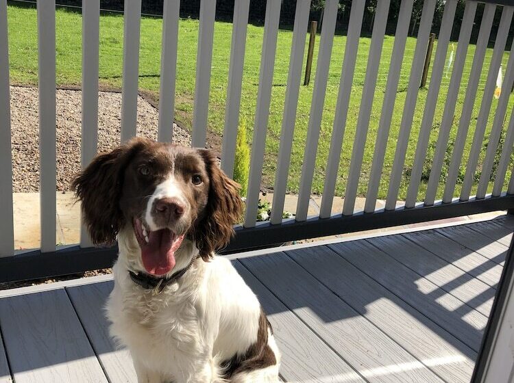 בית מלון כפרי Field House Farm Lodge