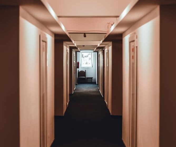 ペンション Petroshani