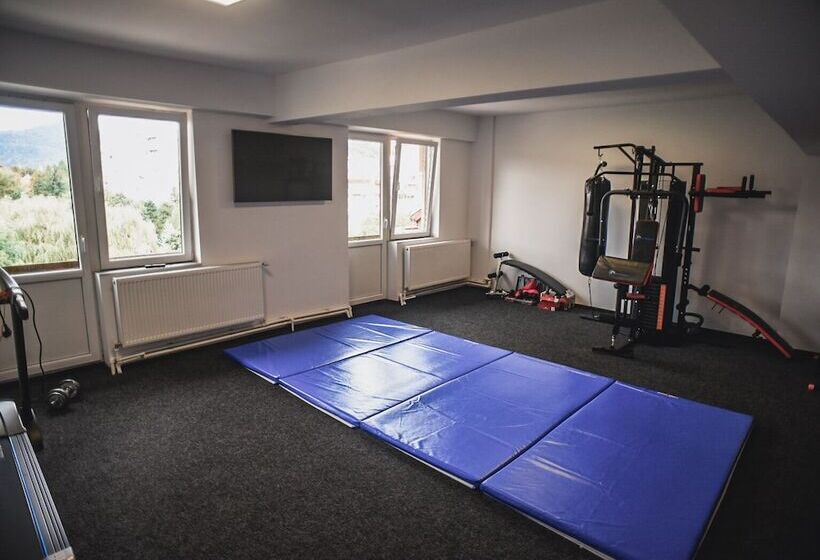 ペンション Petroshani