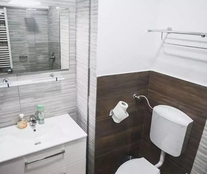 ペンション Petroshani