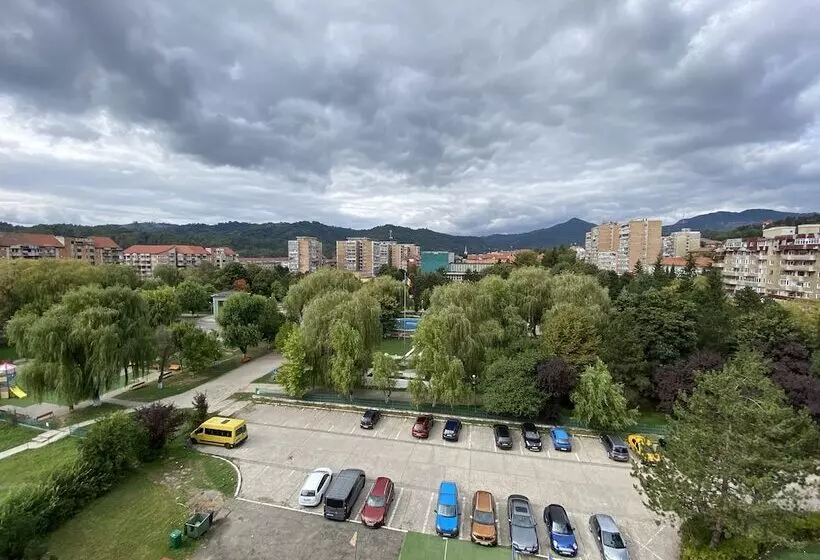 ペンション Petroshani