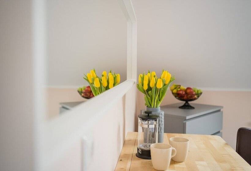 Point Hotel Apartments & Rooms