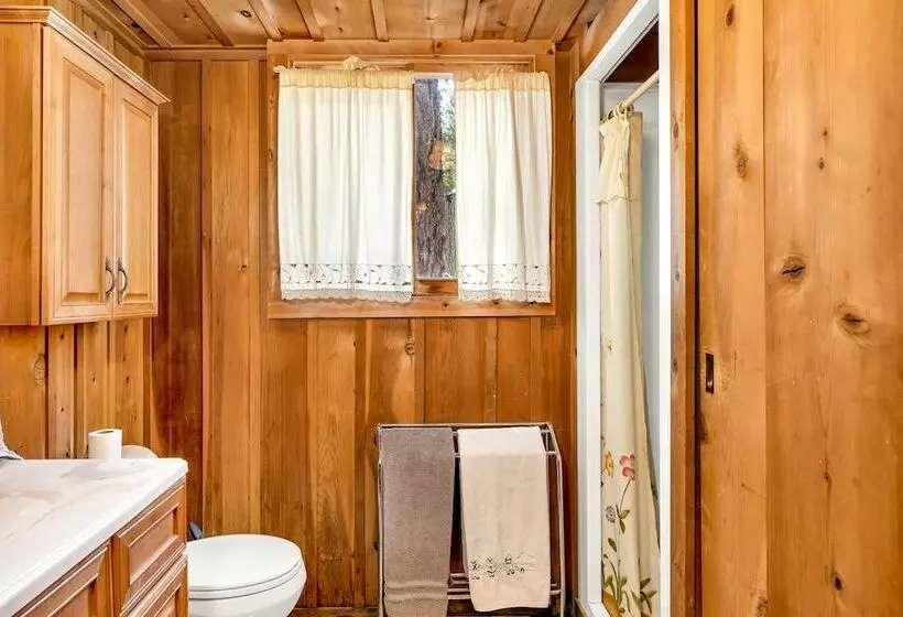 Rustic Knotty Pine   Minutes To The Water!