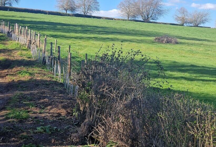 Fully Detached Cottage House Loddington Kettering