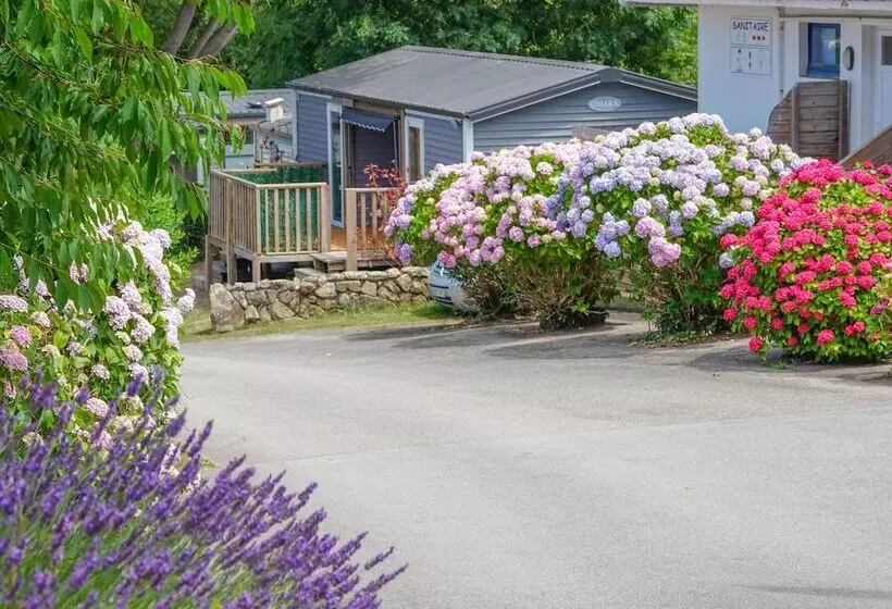 هتل Camping Le Dolmen