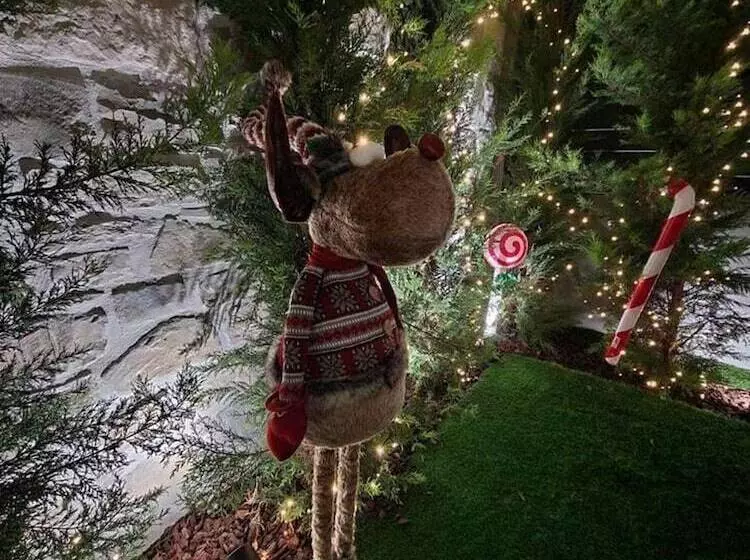 レジデンス Damona 2br Luxury Home With Garden