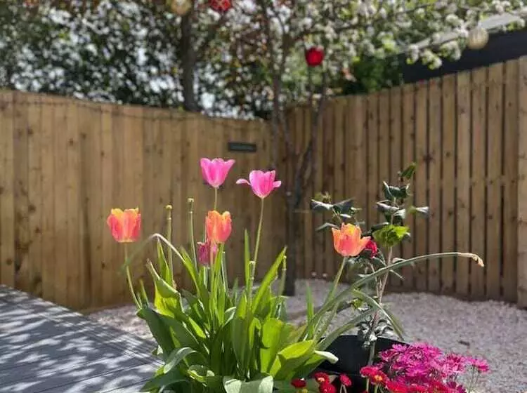 اقامتگاه Lovely 2 Bed House In St Andrews, Scotland