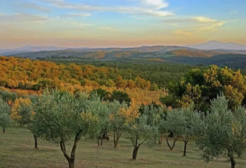 Beautiful Farmhouse In Lucignano With Private Terrace