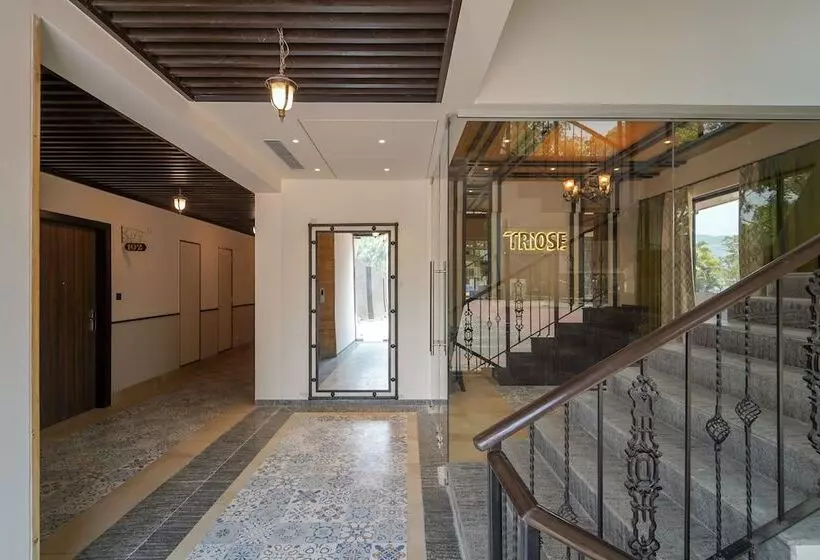 Hotelli Triose Boutique