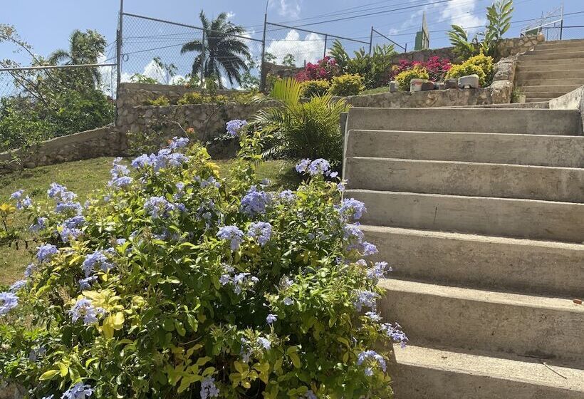 펜션 Poinciana House