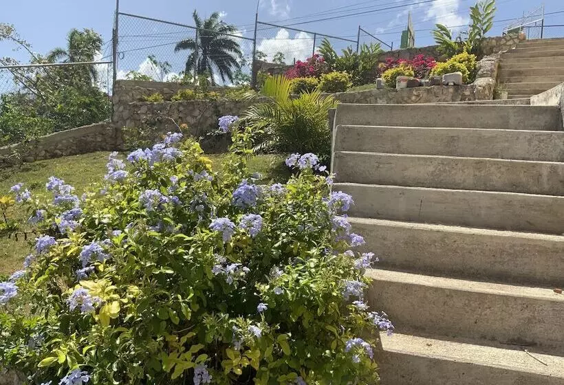 پانسیون Poinciana House