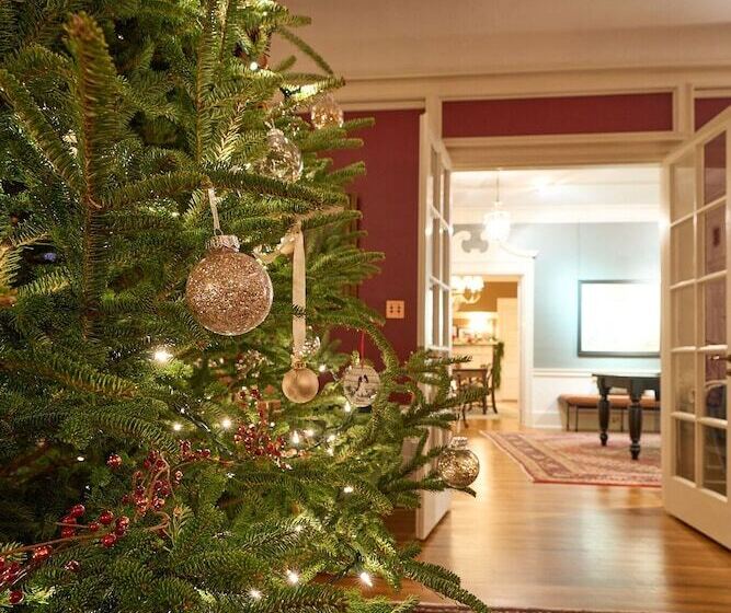 Bed and Breakfast 16 Elm Heritage