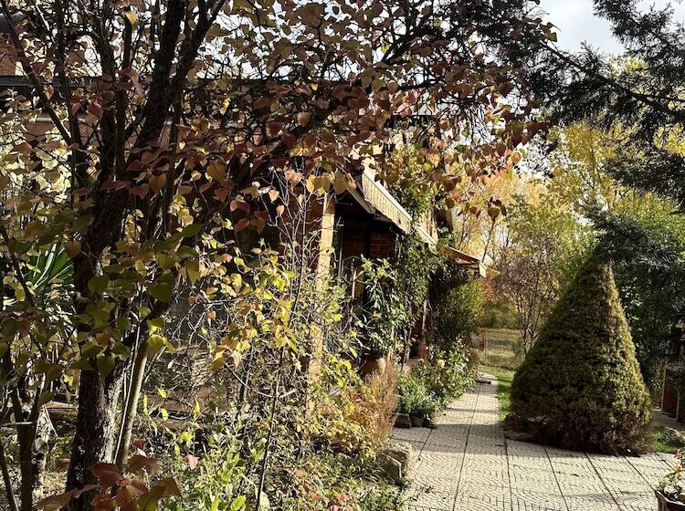 Finca Paraíso Rural