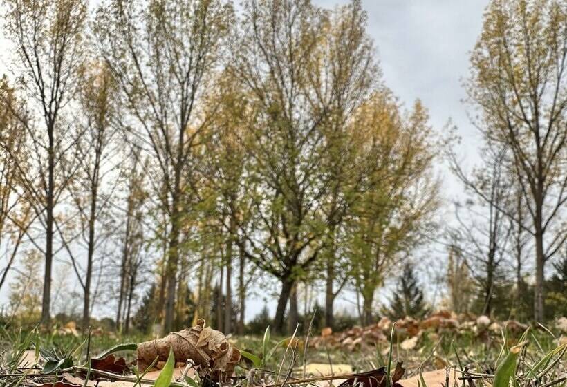 Finca Paraíso Rural