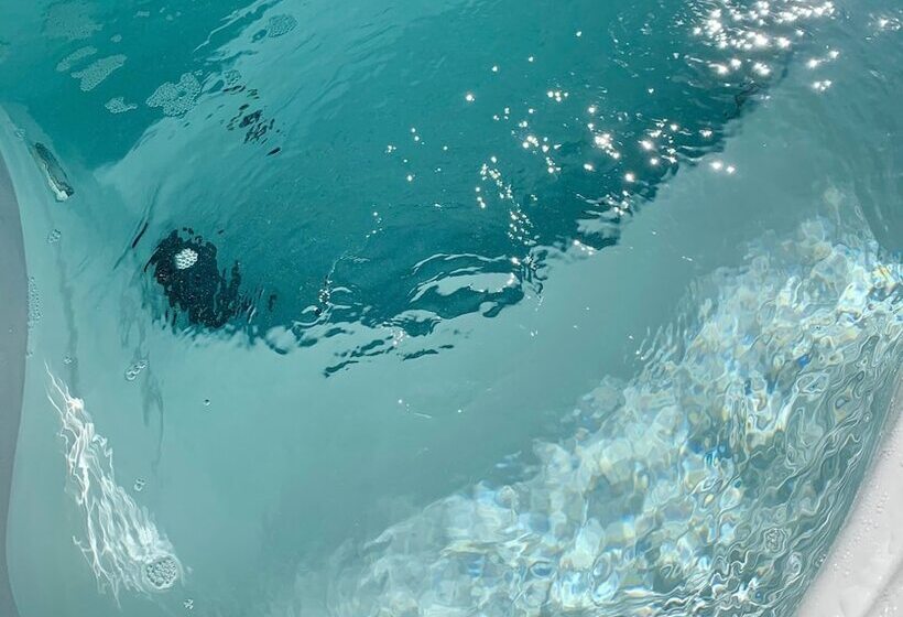 Horsin Around Tennessee