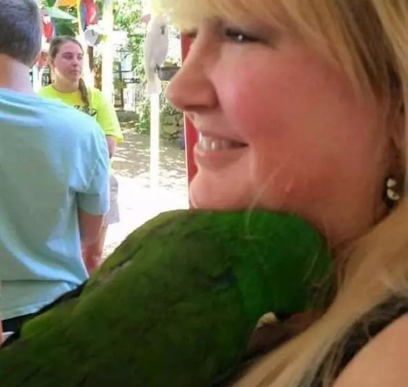 Nothin But A Good Time