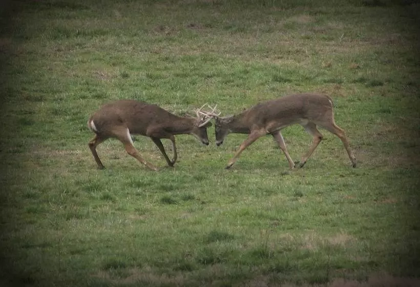 Nothin But A Good Time