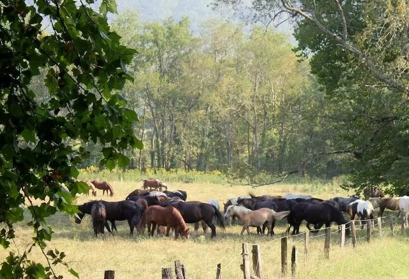 Nothin But A Good Time