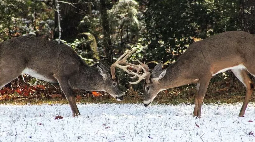 Nothin But A Good Time