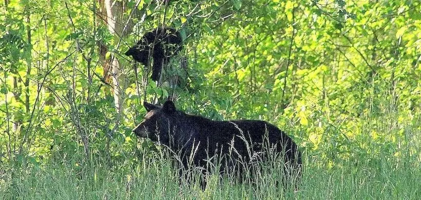 Nothin But A Good Time