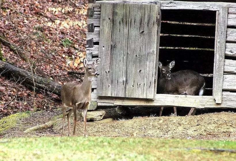 Nothin But A Good Time