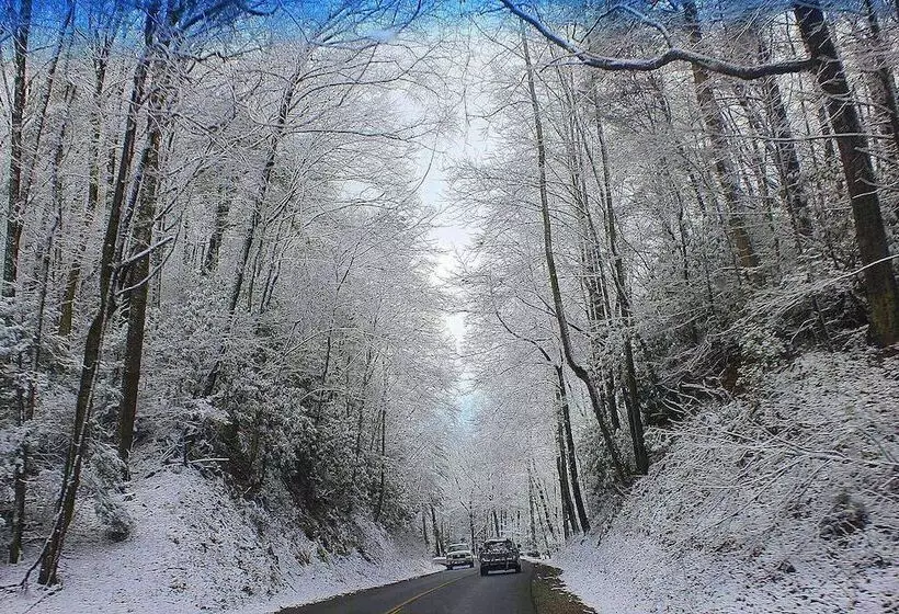 Nothin But A Good Time