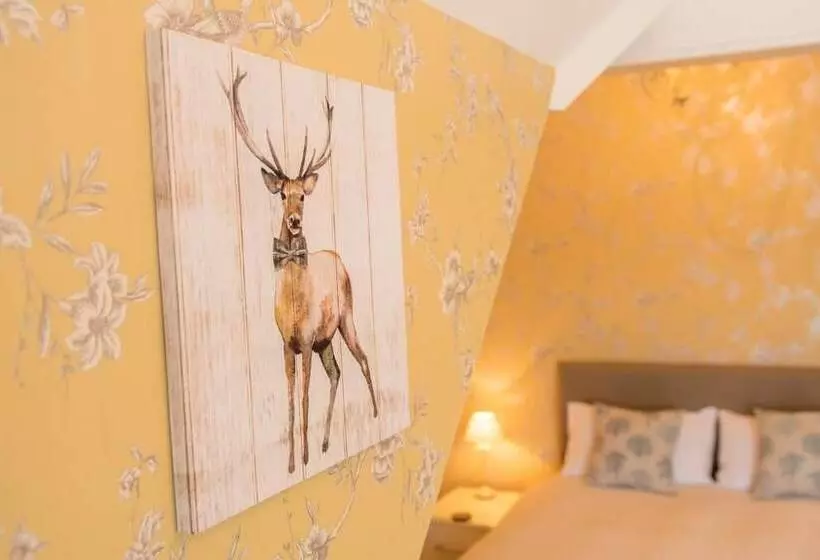 Aamiaismajoitus (B&B) Forest Side Guest House
