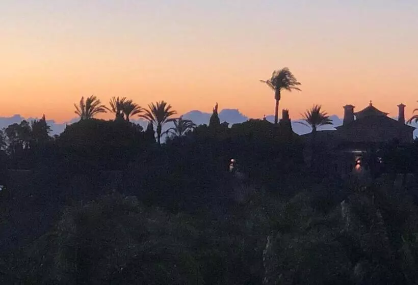 ベッドアンドブレックファースト Palm View Guesthouse, Adults Only