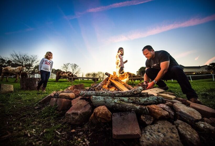 住宿加早餐  Southern Cross Guest Ranch