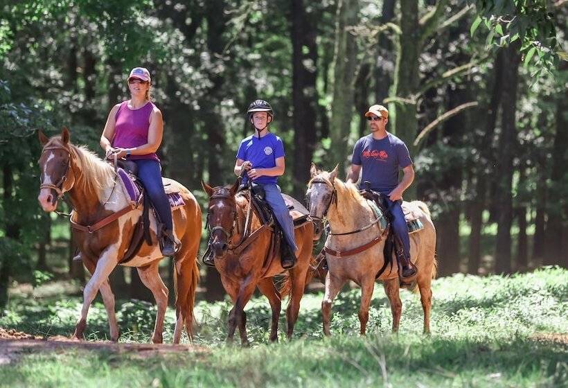 住宿加早餐  Southern Cross Guest Ranch