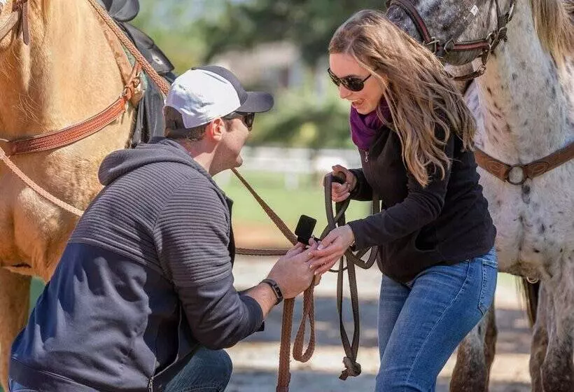 Aamiaismajoitus (B&B) Southern Cross Guest Ranch