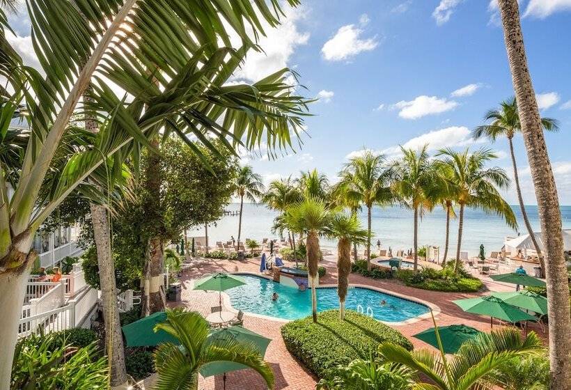 בית מלון כפרי Coconut Beach Resort