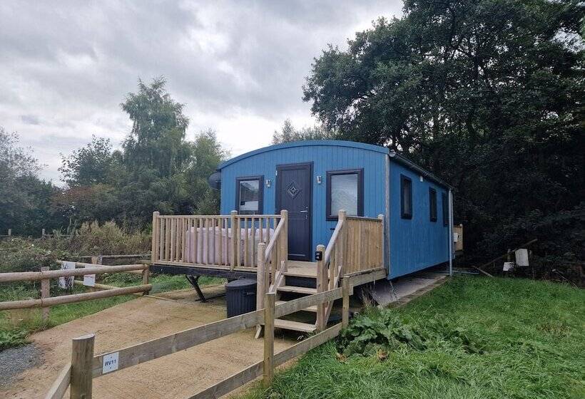 Large Glamping Hut   Riverview 13