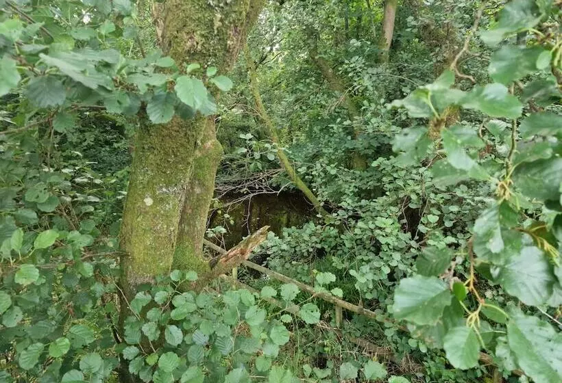 Large Glamping Hut   Riverview 13