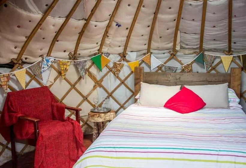 Mongolian Yurts Fordhall Organic Farm