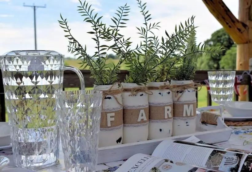 Mongolian Yurts Fordhall Organic Farm