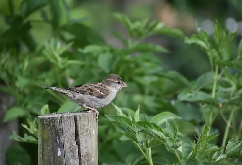 Mongolian Yurts Fordhall Organic Farm