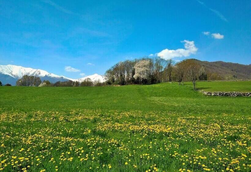 דירת נופש Cosy Apt Close To Sacra Di San Michele And Lakes