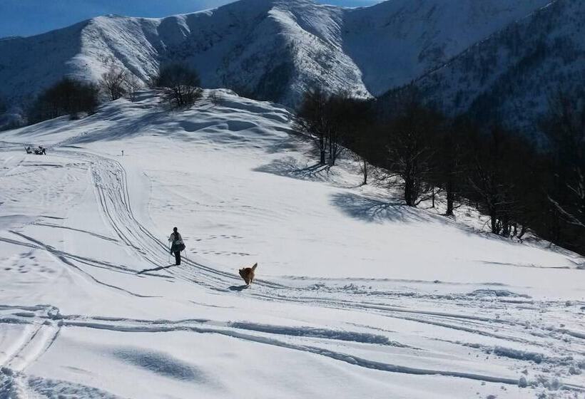 דירת נופש Cosy Apt Close To Sacra Di San Michele And Lakes