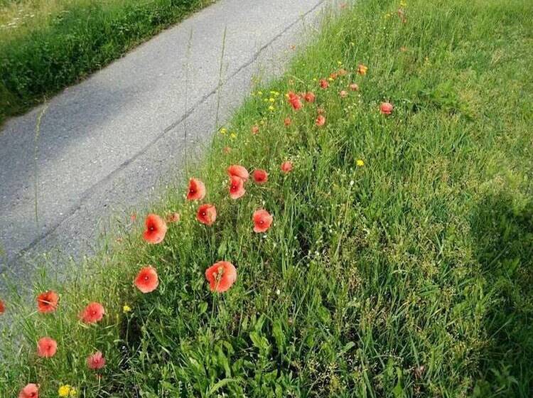 דירת נופש Cosy Apt Close To Sacra Di San Michele And Lakes