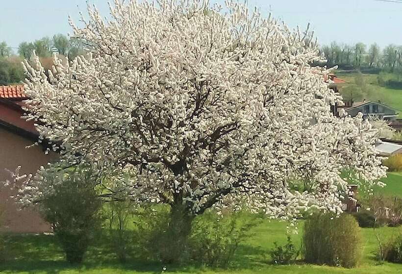 דירת נופש Cosy Apt Close To Sacra Di San Michele And Lakes