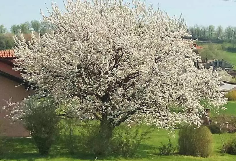 Residenssi Cosy Apt Close To Sacra Di San Michele And Lakes